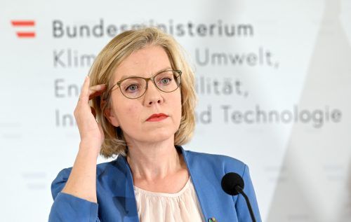 Gewessler will eine Empfehlung des Klimarats umsetzen. APA/Schlager