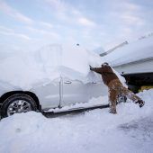 Rekordverdächtiger Schneesturm sorgte in den USA für Chaos