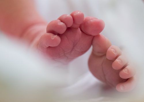 Müssen die Untersuchungen bald privat bezahlt werden?  APA/ZB
