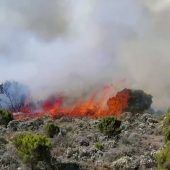 Kilimandscharo-Feuer zerstören Teile des Naturparks