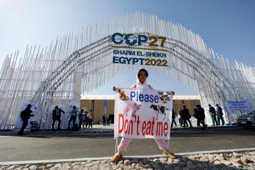 Proteste vor der Weltklimakonferenz in Ägypten: Bislang folgten auf das Treffen kaum Handlungen. REUTERS