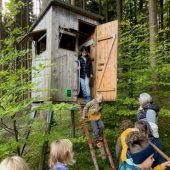 Den Lebensraum Wald erkunden