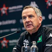 Neuer Job für Dominik Thalhammer