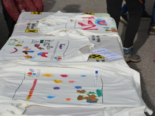 Volksschüler haben T-Shirts bemalt, um als Blühbotschafter erkennbar zu sein. Biosphärenpark Gr. Walsertal