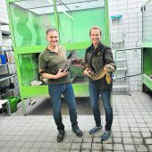 Exoten als Haustiere