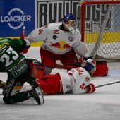 EHC zurück auf der Siegerstraße, Tiger krallten sich Jungbullen