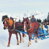 Idyllische Erlebnisreise mit Bahn und Pferdekutsche