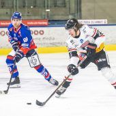 Pioneers zu harmlos für bissige Haie