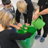 Die Energiewerkstatt im Klassenzimmer