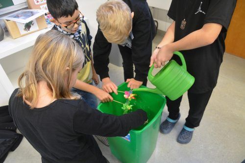 Beim Energieworkshop in der Volksschule Hasenfeld lernen die Schüler, wie Energie erzeugt werden kann.