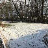 Freie Bahn für die VS Forach