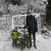 Christbaumfällen mit dem Papa