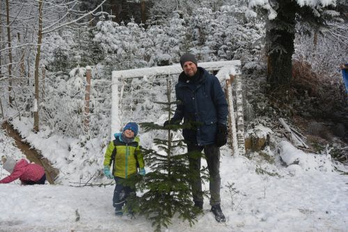 Den passenden Weihnachtsbaum suchten Kinder mit ihren Vätern in Lochau aus.