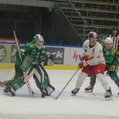 Die Wälder wollen Revanche gegen Kitzbühel