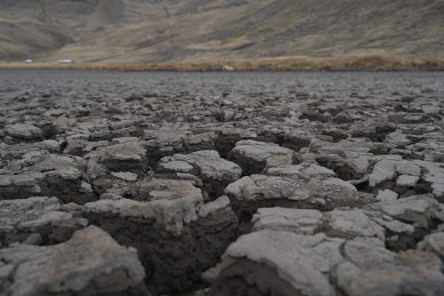 Der Klimawandel lässt die flachen Gewässer austrocknen.  AP
