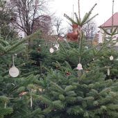 Zauberwald-Bäume werden für den guten Zweck versteigert