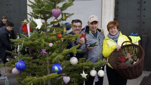 Die Christbaumversteigerung kommt der Lebenhilfe in Vorarlberg zugute. Lebenshilfe