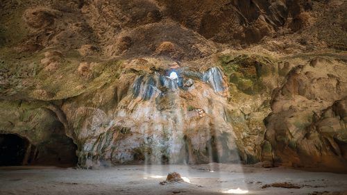 Die Guadirikiri-Höhle beheimatet Hunderte Fledermäuse. Shutterstock
