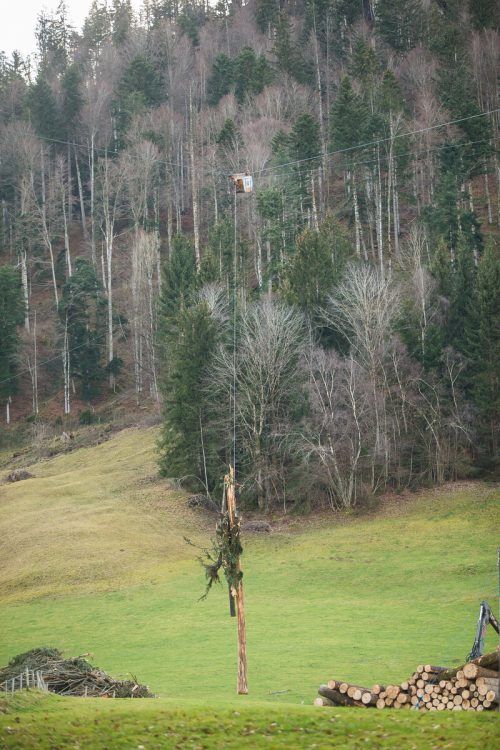 Die Laufkatze kann bis zu vier Festmeter Holz transportieren. VN/Steurer