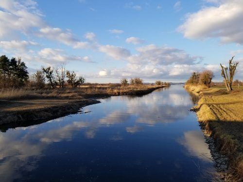 Dieses Foto gelang VN-Leser Walter Küng beim Fischersteg über die Dornbirnerach. 