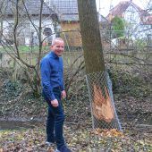 Biber machte Jausenstopp bei Mittelschule