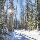 Outdoor-Paradies Ontario