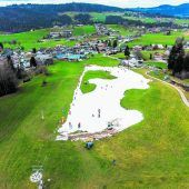 Skispaß im Grünen
