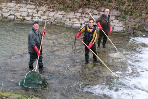 Im rund fünf Grad kalten Wasser spüren Peter Mayrhofer, Philipp Roschmann und Veit Strobl die großen Exemplare auf.