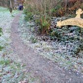 Winterlicher Weihnachtswald