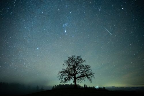 Mitte Dezember ist immer die Zeit des Geminiden-Meteorstroms.  apa
