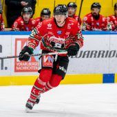 Perfekter WM-Start  der ÖEHV-Junioren