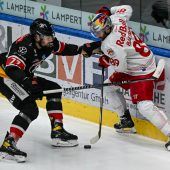 Pioneers mit passender Reaktion