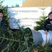 Hochsaison für Lochauer Christbaumzüchter