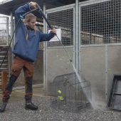 Schwierige Zeiten für das Tierheim