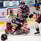 Pioneers am Ende wieder punktelos