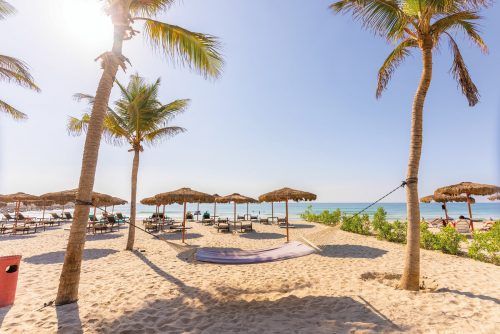 Viel näher als die Karibik, aber genauso schön, sind die Strände im Süden von Oman, in der Provinz Dhofar. Erreichbar ist Salalah per Inlandsflug von Maskat. Edelweiss/Loren Bedeli