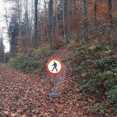 Wanderweg nach Windwurf gesperrt