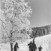 Ein Bödele-Winter wie damals