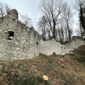 Winterarbeiten bei der Ruine Neuburg