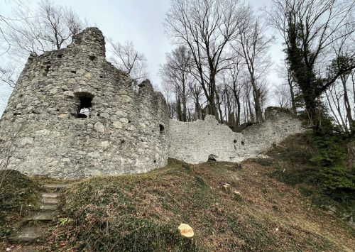Bauhofmitarbeiter entfernten den Bewuchs von der Ruine. MIMA