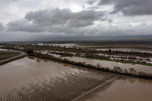 Besonders hart haben die Unwetter bislang unter anderem das Salinas-Tal im Bezirk Monterey getroffen. Dort wurden Tausende Hektar Agrarland überflutet.  AFP