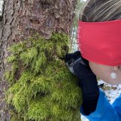 Den Wald mit allen Sinnen spüren