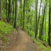 Buchwaldweg in Bludenz gesperrt