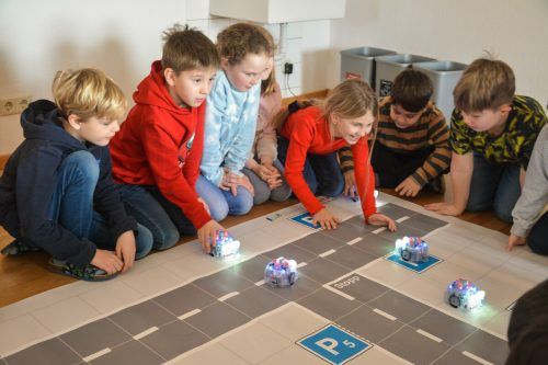 Die 2a- und 2b-Klässler programmieren die Roboter-Bienen und lassen sie über das Feld fahren.  bvs (5)