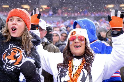 Die Fans der bengalischen Tiger feierten im Schneetreiben von Buffalo den Einzug ins AFC-Finale. USA Today Sports