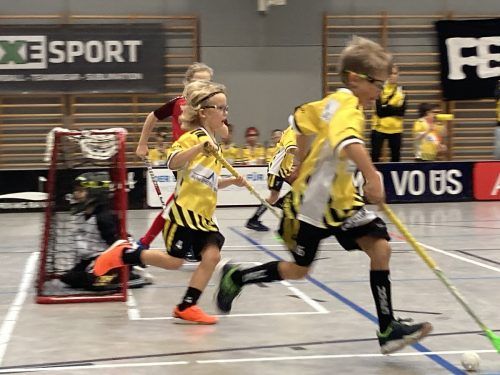 Die Feldkircher Floorballer waren mit vollem Einsatz dabei. Verein