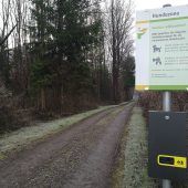 Wo sich Hunde künftig austoben können