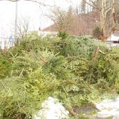 Christbaumentsorgung in Hohenems