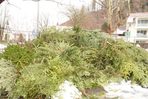 Die Stadt Hohenems informiert zu Christbaumentsorgung, im Schwefel hilft die Funkenzunft. VN
