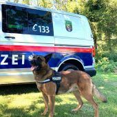 Polizeihund Sam stellte Einbrecher
